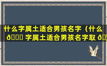 什么字属土适合男孩名字（什么 🐟 字属土适合男孩名字取 🦟 名）